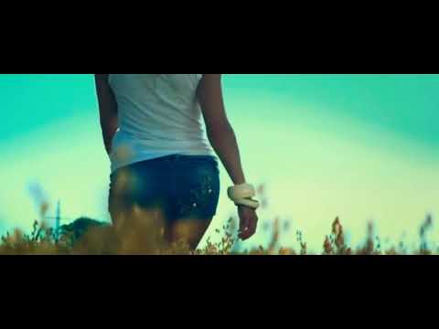 Валевська Палала 