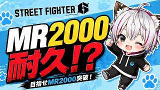 シエラネコVTuberの配信のサムネイル画像