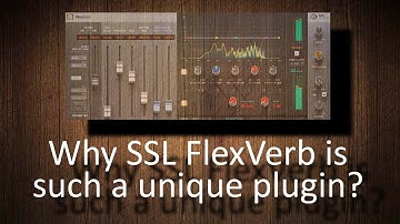 What makes SSL Native FlexVerb such a unique plugin?