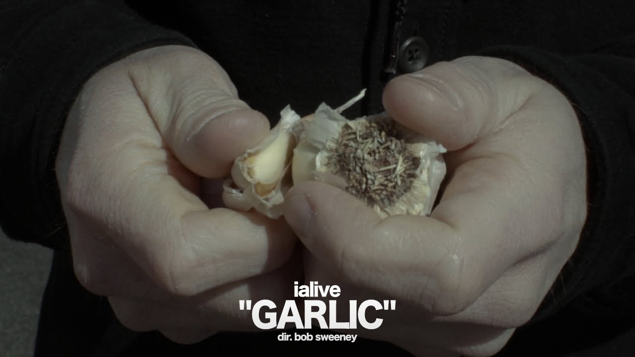 Watch ialive - Garlic on YouTube Watch ialive - Garlic on YouTube