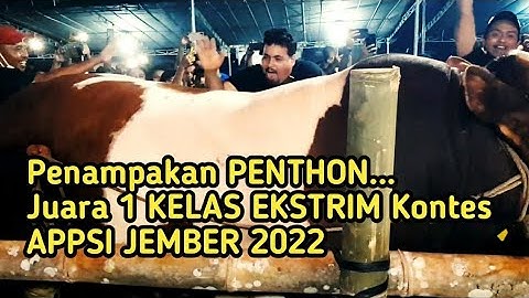 aura si PENTON sang juara emang beda 🏆🥇 kontes APPSI 2022 jember