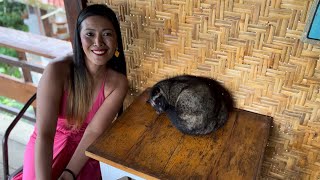 Exploring Luwak Farm -Coffee Testing in Bali