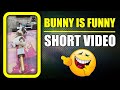 Bunny is always funny  dog fart shorts  harpreet sdc