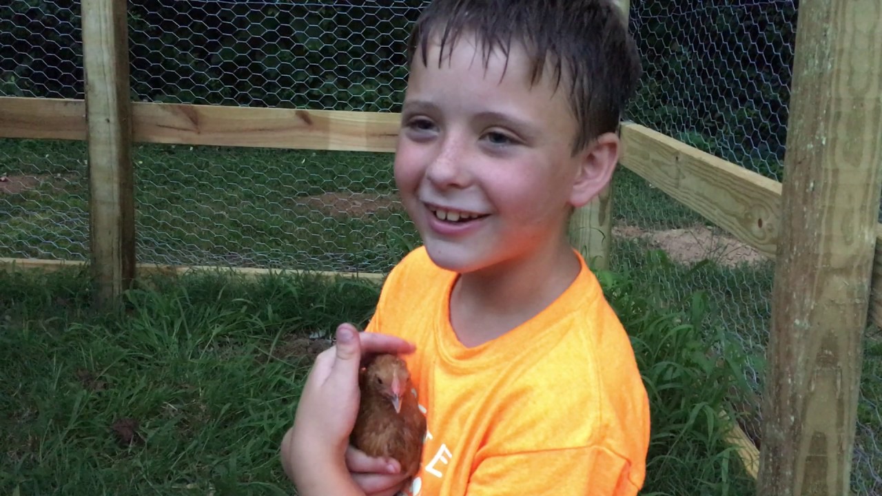 Chicken House Finally Done YouTube