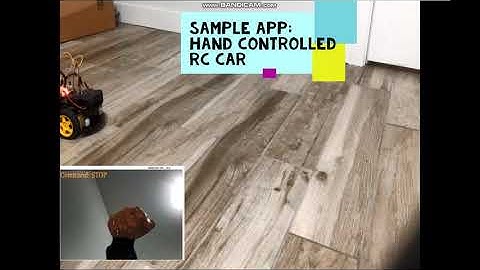 Hand Gesture Controlled Robot Pet