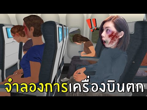 เกมจำลองการเครื่องบินตกแบบสมจริง