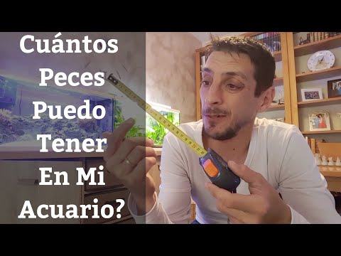 🔵 Cuántos Peces Puedo Tener En Mi Acuario Según Los Litros Que Tengo? (Acuarios MB) hqdefault