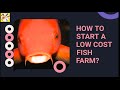 How to start a lowcost fish farm  fishfarming