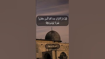 سورة الأنفال الآية ٥٤ الى ٥٦ بصوت الشيخ محمد صديق المنشاوي