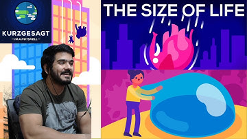 What Happens If We Throw an Elephant From a Skyscraper? Life & Size 1  (Kurzgesagt) CG Reaction