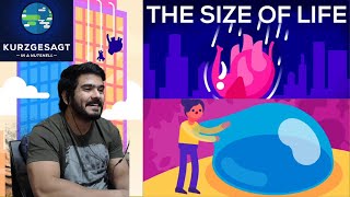 What Happens If We Throw an Elephant From a Skyscraper? Life \& Size 1  (Kurzgesagt) CG Reaction