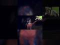 Acho que o meu grito foi feminino demais #brasil #clipes #gaming #twitch #games #miside #terror