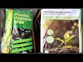 Какую землю покупаем  для рассады.. Закупка продуктов.