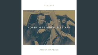 Miniatura de "North Mississippi Allstars - Bird Without a Feather"