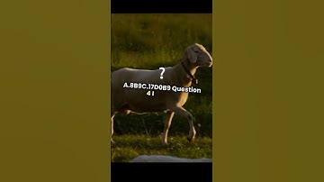 Can You Solve These 5 Tricky Riddles? | Fun Quiz Challenge!