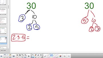 6th Grade lesson 4 1 Prime Factorization
