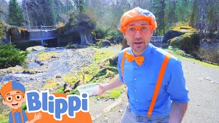 Blippi at the Zoo - Feeding the Animals | Learning Videos For Kids | Education Show For Toddlers