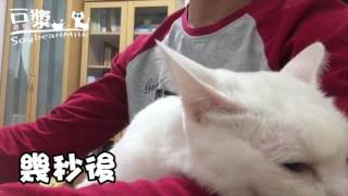 【豆漿 - SoybeanMilk】超瞎的記憶力 娘娘老人癡呆啦 【豆漿 - SoybeanMilk】超瞎的記憶力 娘娘老人癡呆啦