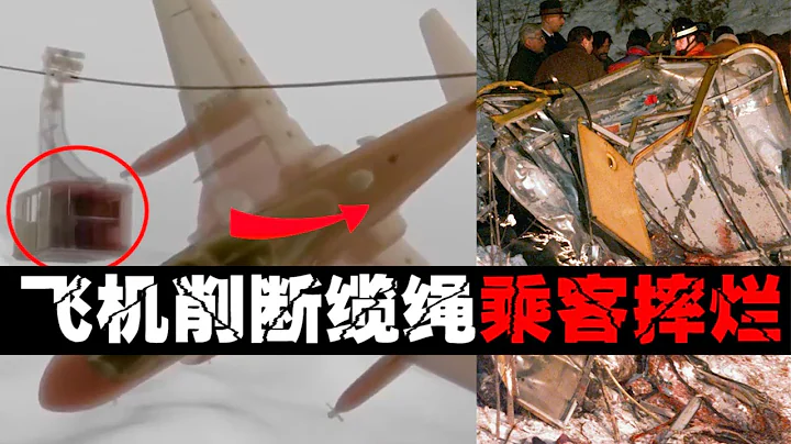 【最吓人缆车】乘客被摔成肉泥，飞机肇事逃逸！【郑郑得证】 - 天天要闻
