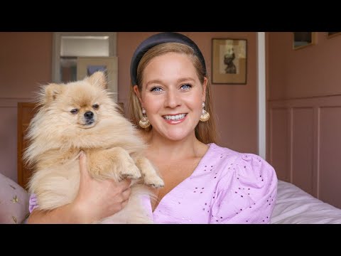 How to Toilet Train your Puppy! | Katie KALANCHOE