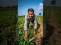 Kisan diwas | National farmers Day| viksit krishi #farmers #kisan