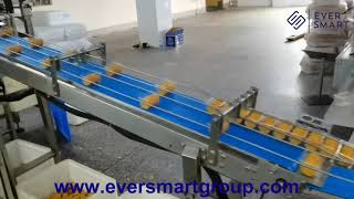 Biscuit Tray Loading System