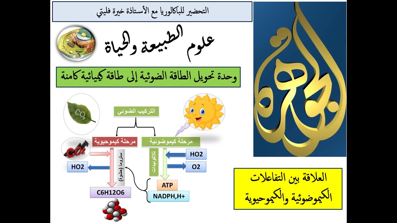 العرض 21: العلاقة بين التفاعل الكيموضوئي والكيموحيوي