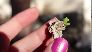 393072452731 :) Pyromorphite With Hoppered Crystals On Matrix From Daoping Mine China :)