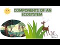 Ecosystem Exploration Quiz