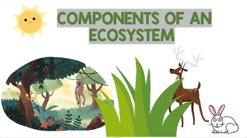 Components of an Ecosystem | Biology Animation