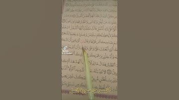 #اكسبلور #المصحف #سورة النمل