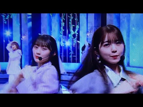 Venue101・乃木坂46新体制！ (雰囲気まとめ)  #65