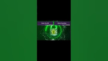 Invisible Shield: How One Secret Database Guards 400 Million People in Europe