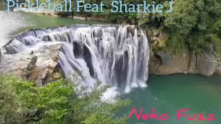 Pickleball Feat Sharkie J & Neko Fuzz Resimi