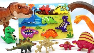 Learn Dinosaur Names With Wooden Puzzle! Dinosaur Toys In Microwave Oven Toy! 공룡 퍼즐 변신