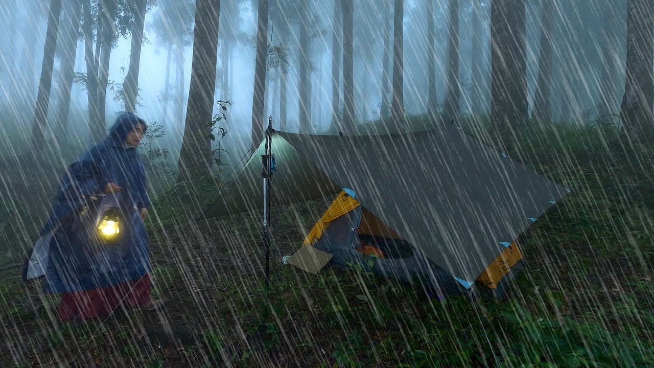 SOLO CAMPING IN RAIN • COSY RELAXING TARP SHELTER, COMFORT FOOD • ASMR ...
