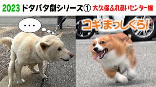 2023狂犬病予防注射会場のドタバタ劇① 大久保ふれあいセンター編