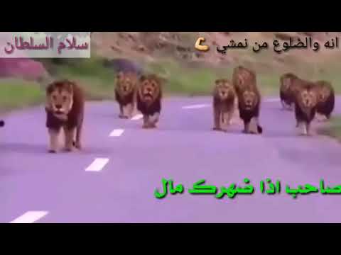 اغنية اه اه صاحب إذا ضهرك مال حلا ت حزين