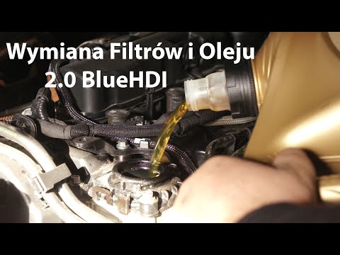 Wymiana Filtrów I Oleju 2.0 Bluehdi - Youtube
