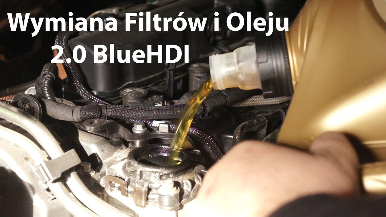 Wymiana Filtrów I Oleju 2.0 Bluehdi - Youtube
