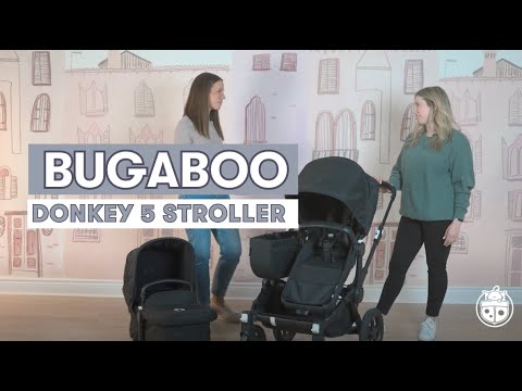 วีดีโอ: รีวิว Bugaboo Donkey