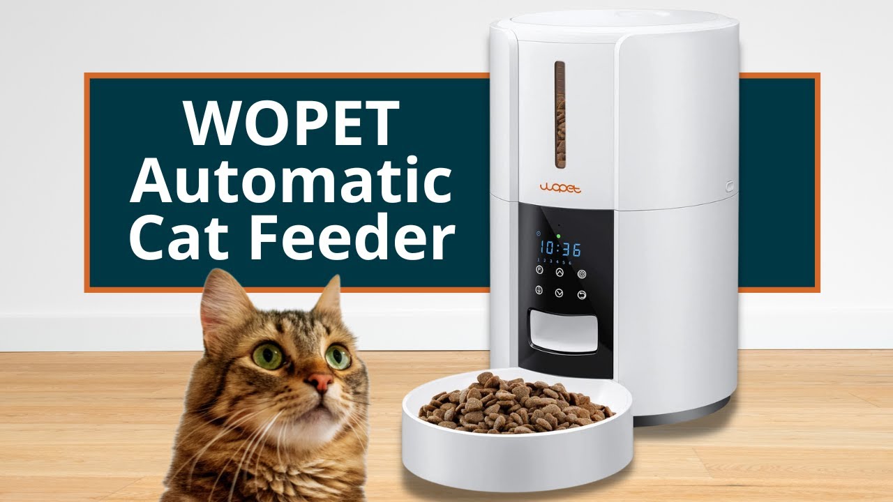 Automatic Cat Feeders with Timer, Cat Feeder Automatic Dog Food