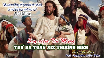 THỨ BA TUẦN XIX THƯỜNG NIÊN: Mt 18,1-5.10.12-14