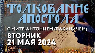 Вторник, 21 мая 2024 года. Толкование Апостола с митр. Антонием (Паканичем).