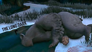 The Long Dark 🐺 // Эпизод 2: Часть 6 // ВАЛЬНУЛ МИШУ