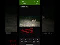 Subscribe #hunting #shorts #coyote #bobcat #sub #trailcam #outdoors #woods