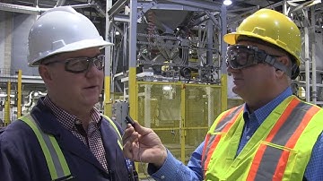 Pulse School: Inoculants require special attention