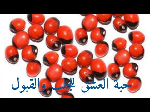 ماعندكش الزهر والناس مايبغوكش وين تروحي ظلمة عليك ادخلي شوفي هاذ الفيديو