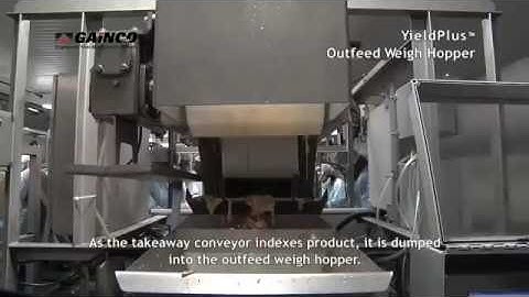 Gainco YieldPlus® Debone/Trim Management System – Weigh Hopper