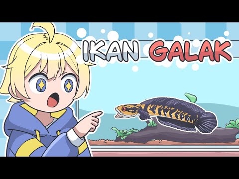 My Pet Channa - Experience Animation